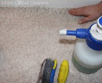 Fast Carpet Cleaners 354209 Image 6